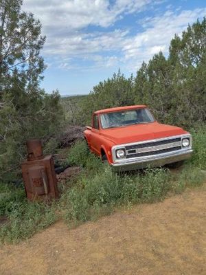 1969 Chevrolet C10  for sale $15,495 