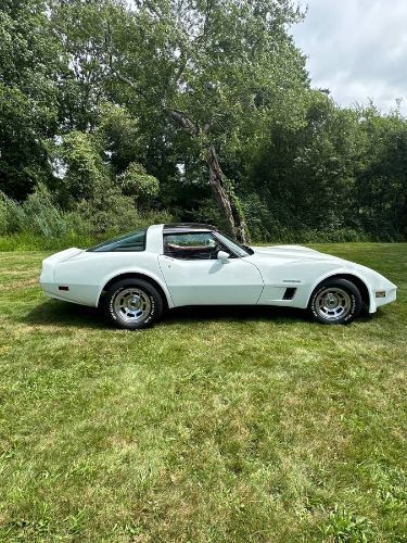 1982 Chevrolet Corvette  for Sale $18,995 