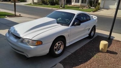 1995 Mustang 