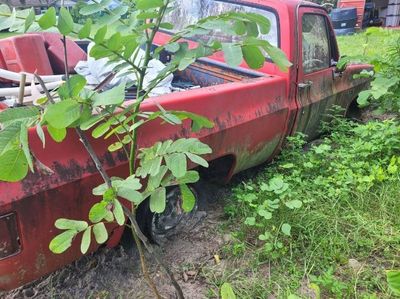 1978 Chevrolet C10  for sale $9,995 