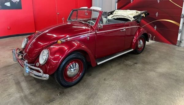1964 Volkswagen Beetle  for Sale $42,895 