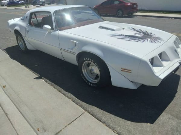 1979 Pontiac Firebird  for Sale $31,995 