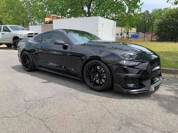 2019 Ford Mustang  for Sale $62,995 