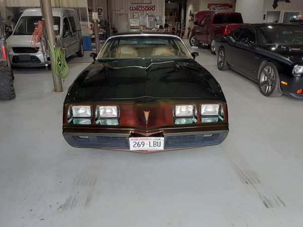 1981 Pontiac trans am for Sale $18,500
