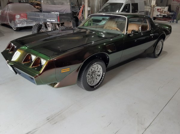 1981 Pontiac trans am for Sale $18,500