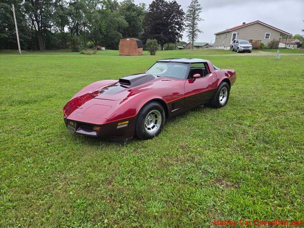 1981 Chevrolet Corvette  for Sale $18,000 