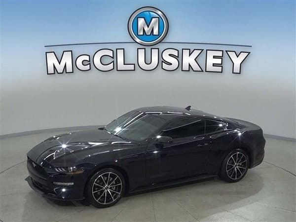 2023 Ford Mustang  for Sale $33,989 