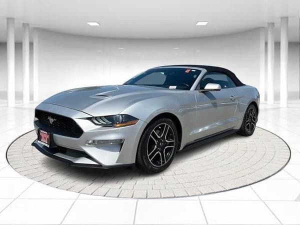 2019 Ford Mustang  for Sale $19,430 