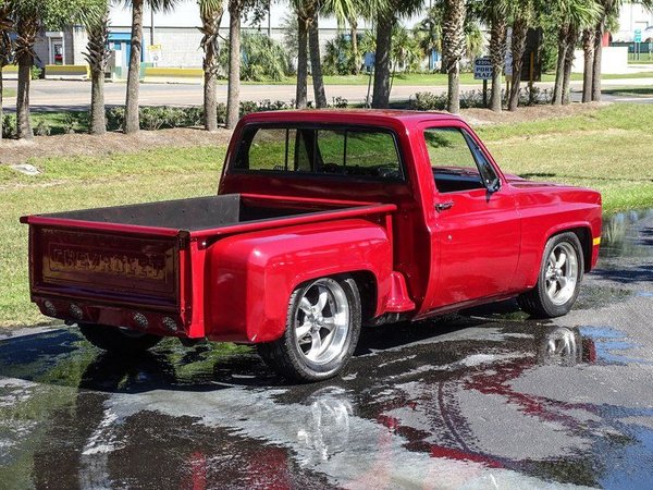 1978 Chevrolet C/K 10 Series for Sale $19,595