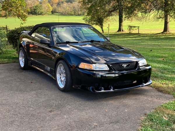 2000 Ford Mustang  for Sale $25,000 
