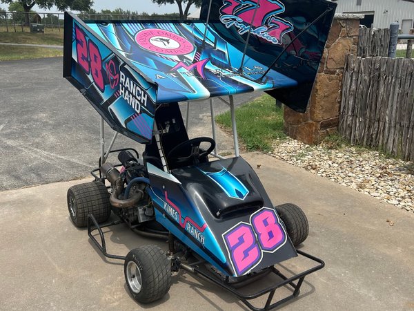 250 Outlaw Go Kart  for Sale $6,500 