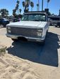 1981 Chevrolet C20  for sale $9,895 