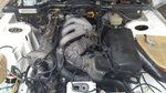 My Post Pictures