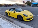 Spyder