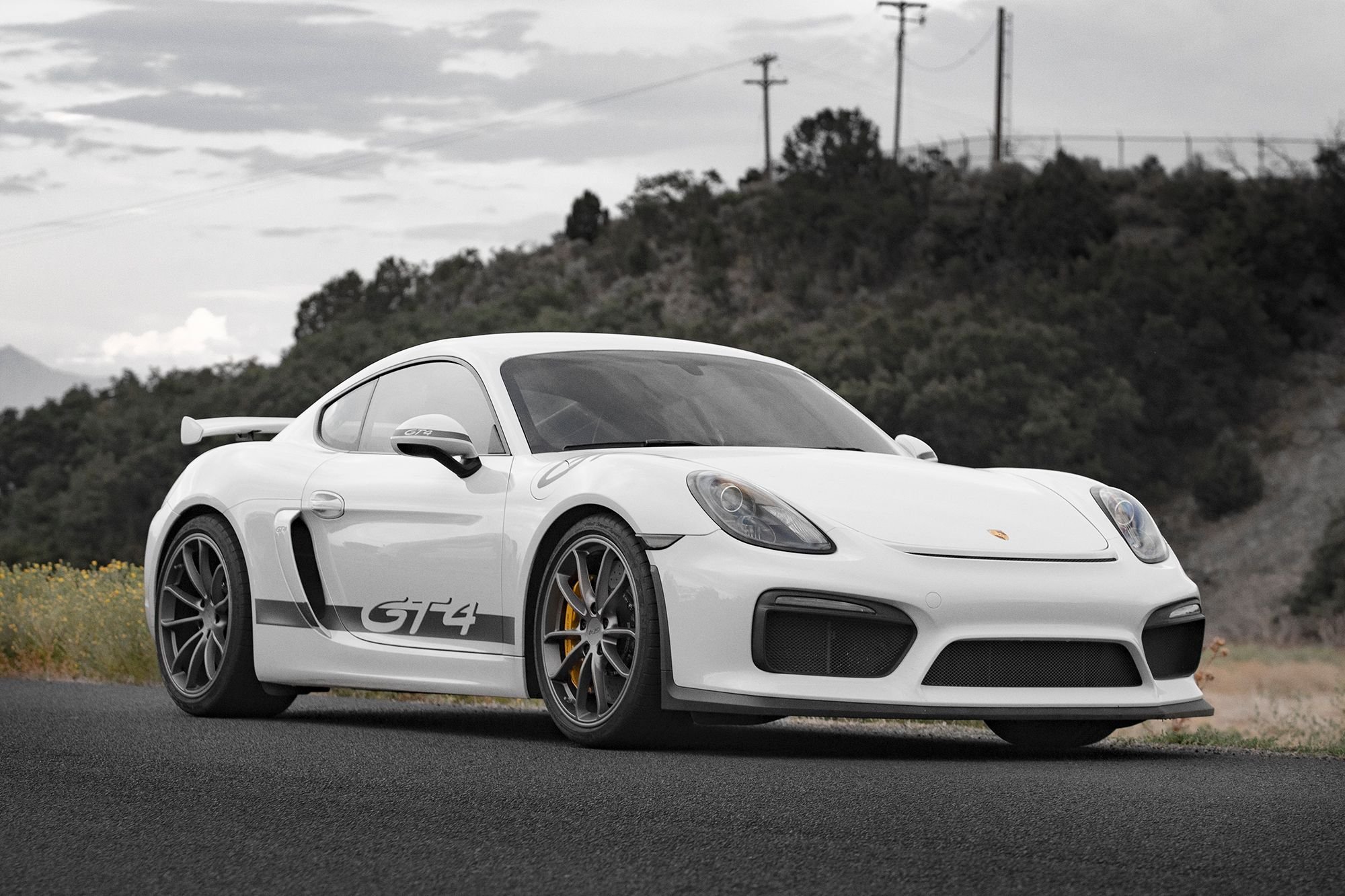 2016 Porsche Cayman GT4 - 2016 Porsche Cayman GT4 White PCCB , Carbon Buckets ~12k Miles - Used - VIN WP0AC2A88GK197638 - Salt Lake City, UT 84047, United States