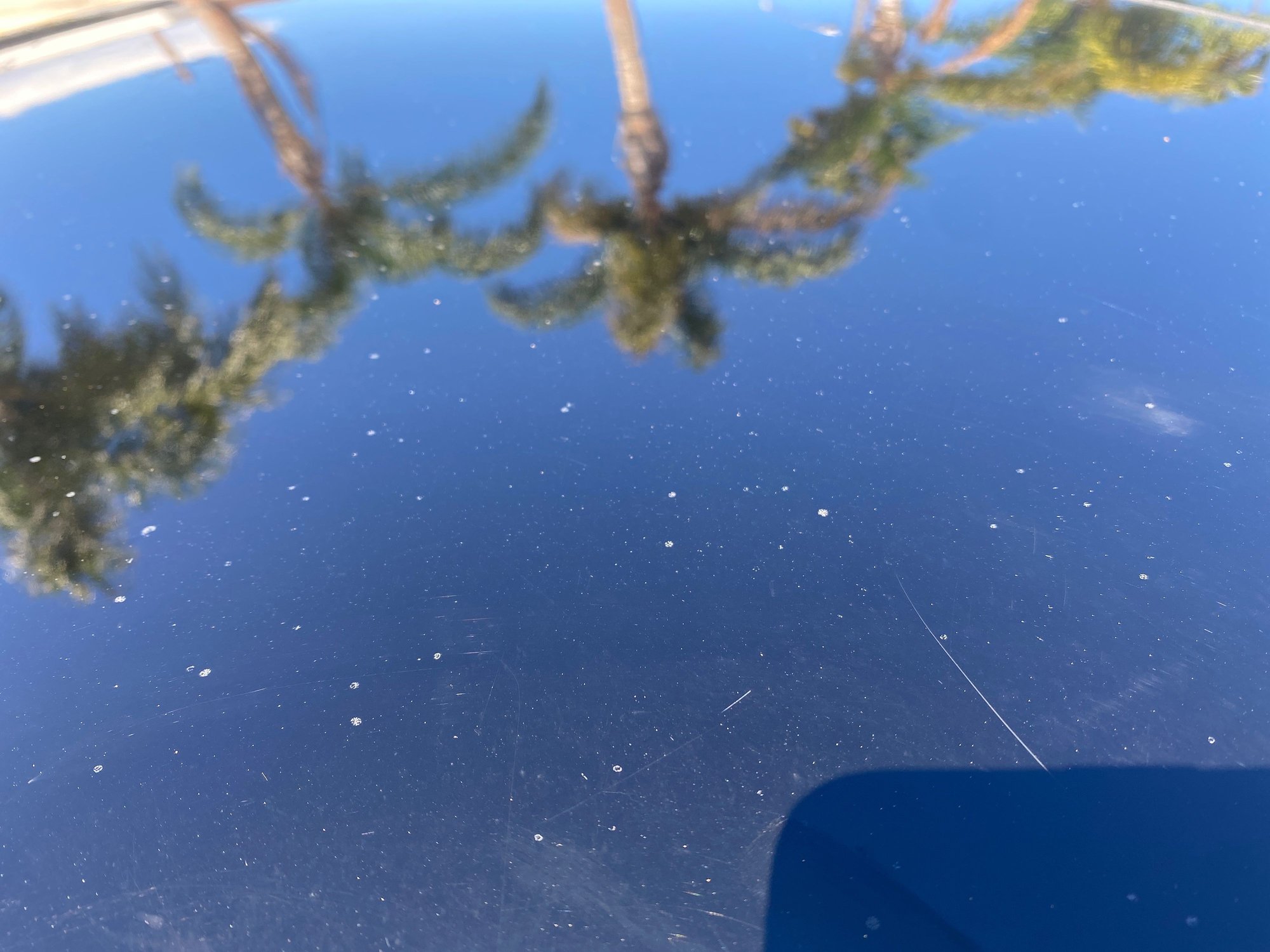 993 Original Paint Failing? Rennlist Porsche Discussion Forums