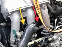 This is the SAI air hose. Yellow arrow points to air box connection. Red arrow points to pump connection. This is where you’re seeing the 3rd cone filter. 