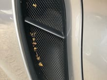 Porsche Cayman Boxster 981 side intake grills radiatorgrills@gmail.com