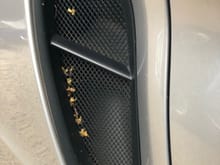 Porsche 981 Boxster and Cayman 2013-2016 Side Intake Grilles www.radiatorgrillstore.com