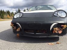 The reason for the modification. Fall run in the Blue Ridge Mountains.