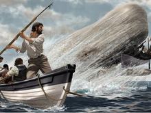 we will rescue you Sean!