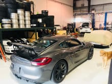 2016 Agate Grey GT4 Flood Car Arrival