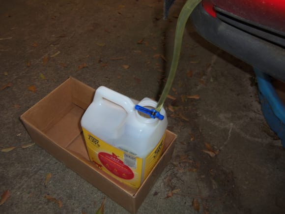 Other end of hose goes into one of several kitty litter jugs, secured with plastic clip.
