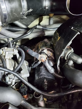 Harness cable comes in from the right and the alternator cable exits to the left
