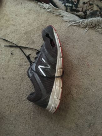 I wear tennis shoes with holes 