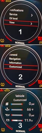 With the Gauge to the right of the Tach selected (Red Ring) press the scroller on the right stalk of the steering wheel. This will get you #1. Scroll to highlight "View" as shown. Then scroll to select "Customized" and you'll have the selections you made in the PCM.