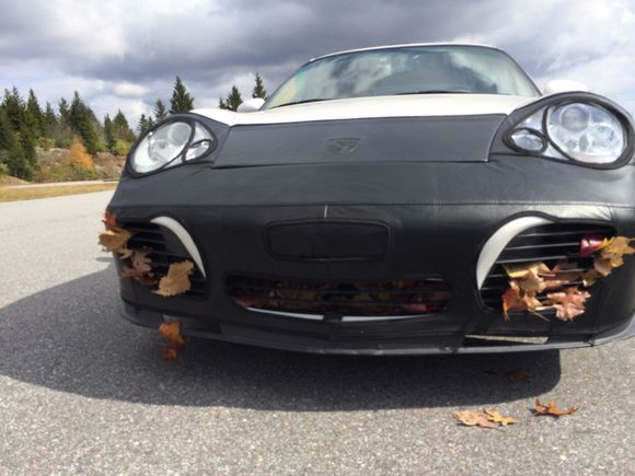 The reason for the modification. Fall run in the Blue Ridge Mountains.