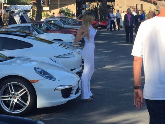 Great white shark prowling Cars and Coffee