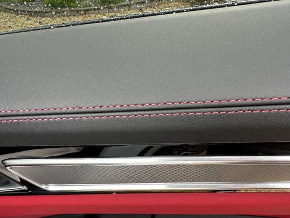 Rear door panel