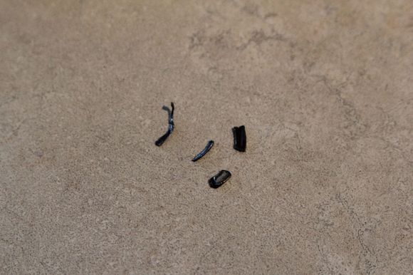 These were found on the case oil drain plug.