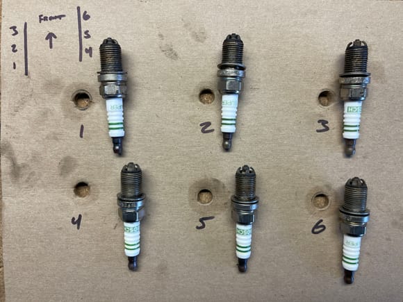 The FCP Euro plug/coil kit comes with identical Bosch spark plugs 