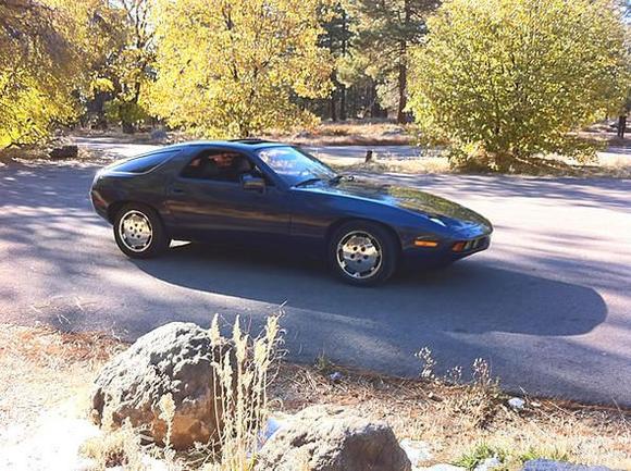 Autumn Cruise