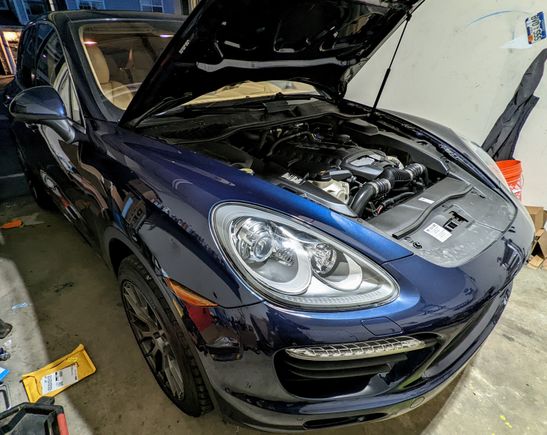 My garage, much like me, still can't believe we have a Porsche. So much happy.