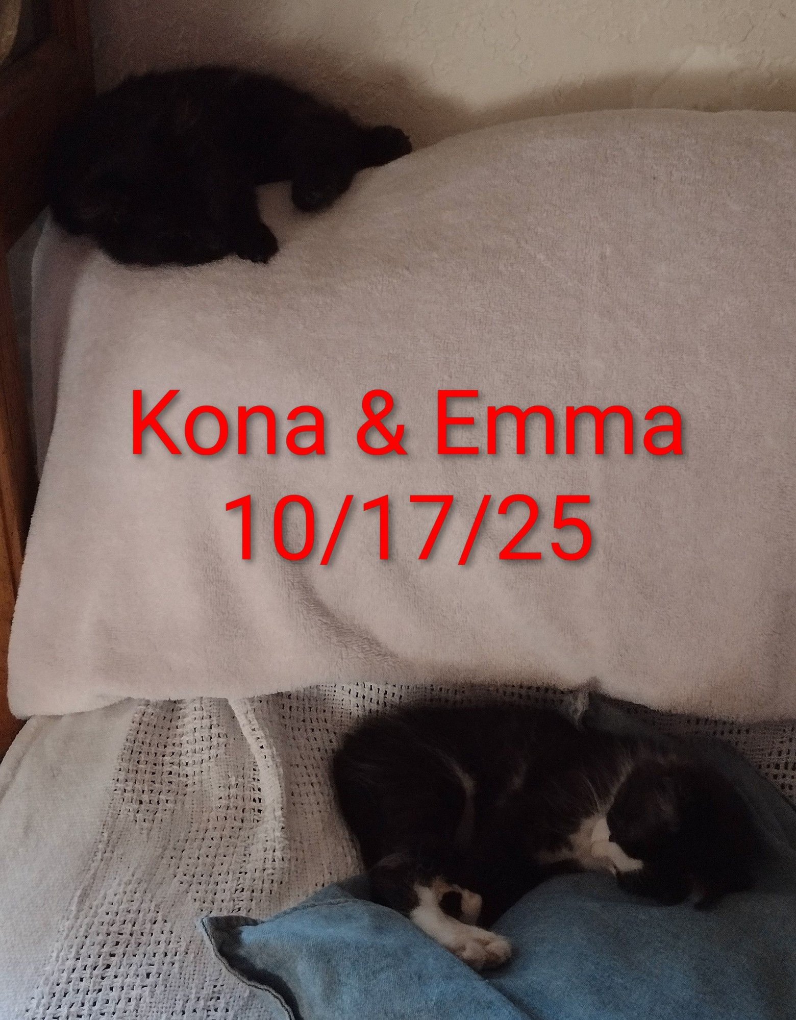 Natasha & Emma Our Newest and Our Two Youngest!