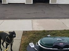 Grillin' with my dog and my car.