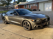 2015 gt with 50th trim