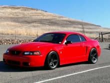 Images Of 2001 SVT Mustang Cobra Coupe & Convertible