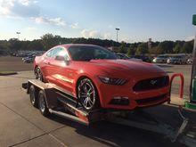 2015 CO GT Automatic "Orange Krush"