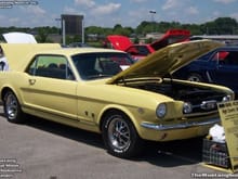 Mustang Photo Archive 1964 1/2 - 1966 Mustangs 1966 Mustang 1966 High Country Special