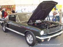 Mustang Photo Archive 1964 1/2 - 1966 Mustangs 1966 Mustang 1966 Shelby Mustangs 1966 Shelby GT350S