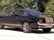 shelby66h 1