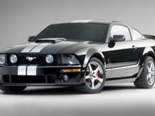 mustang stage 3 004