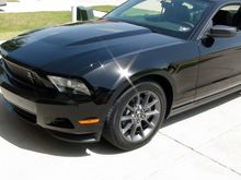 Mustang 16