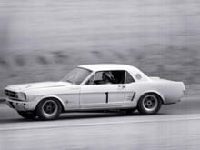 Mustang Race Cars Road Course/Endurance Racers 1966 SCCA Racers