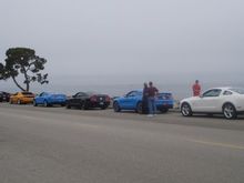 Mustang Meet