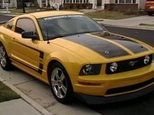 Stang 005